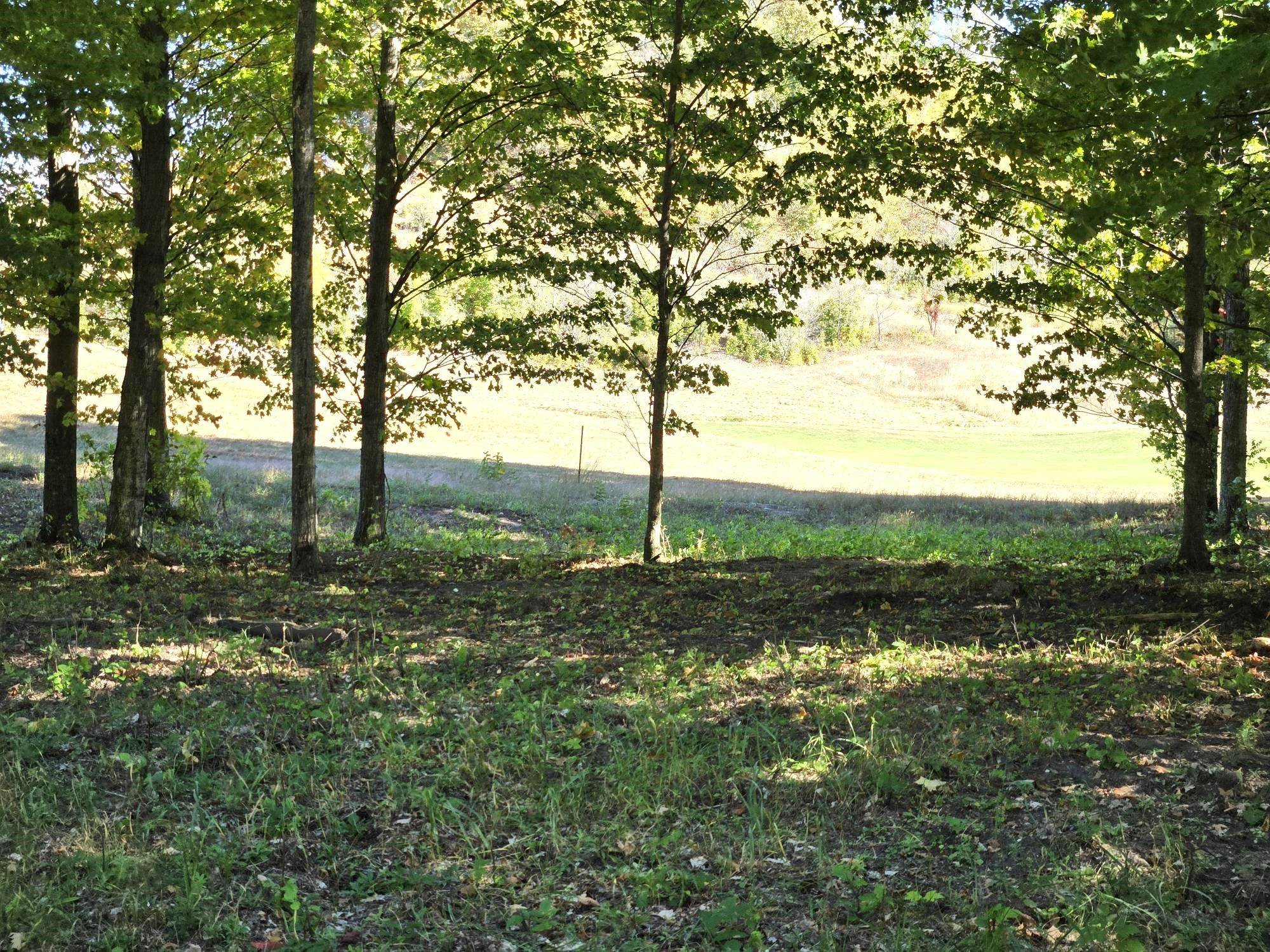 0020 Heather Ridge Trail Homestead Township MI 49617