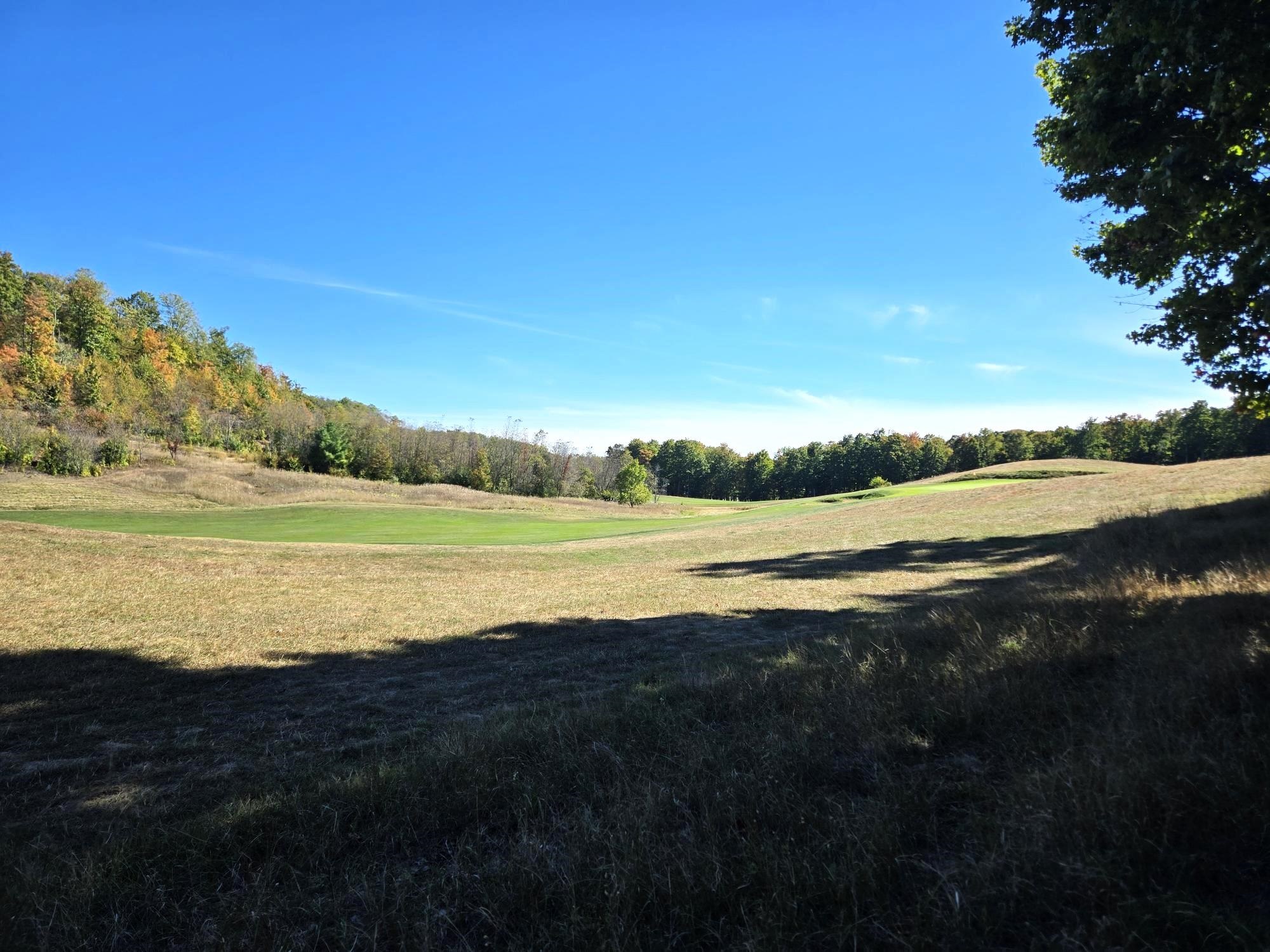 0020 Heather Ridge Trail Homestead Township MI 49617
