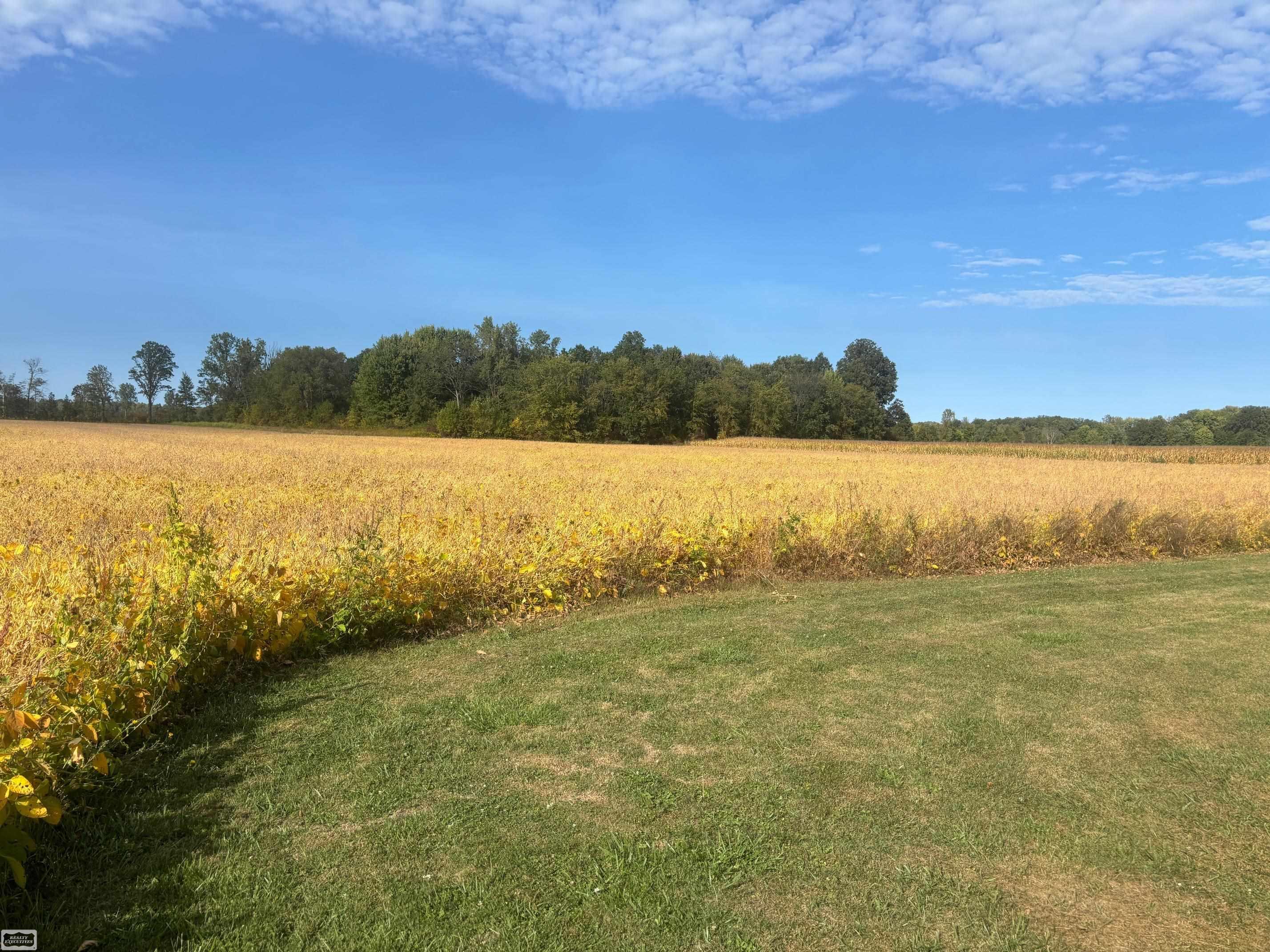 4452 Cole Road Fort Gratiot Charter Township MI 48059