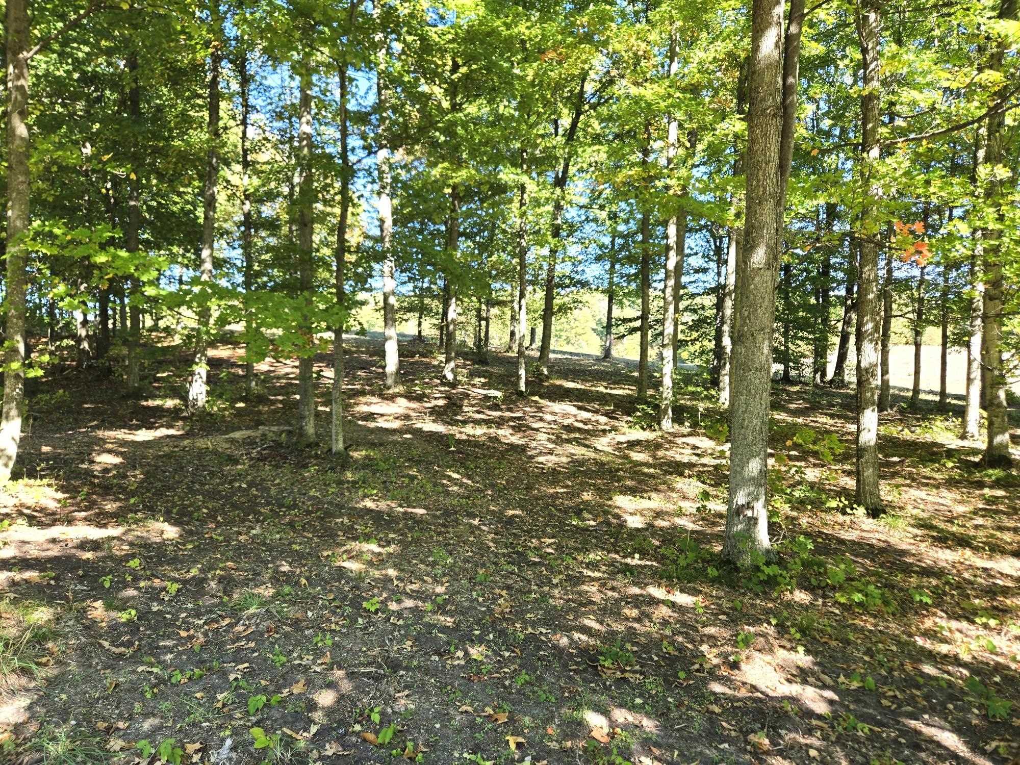 0018 Heather Ridge Trail Homestead Township MI 49617
