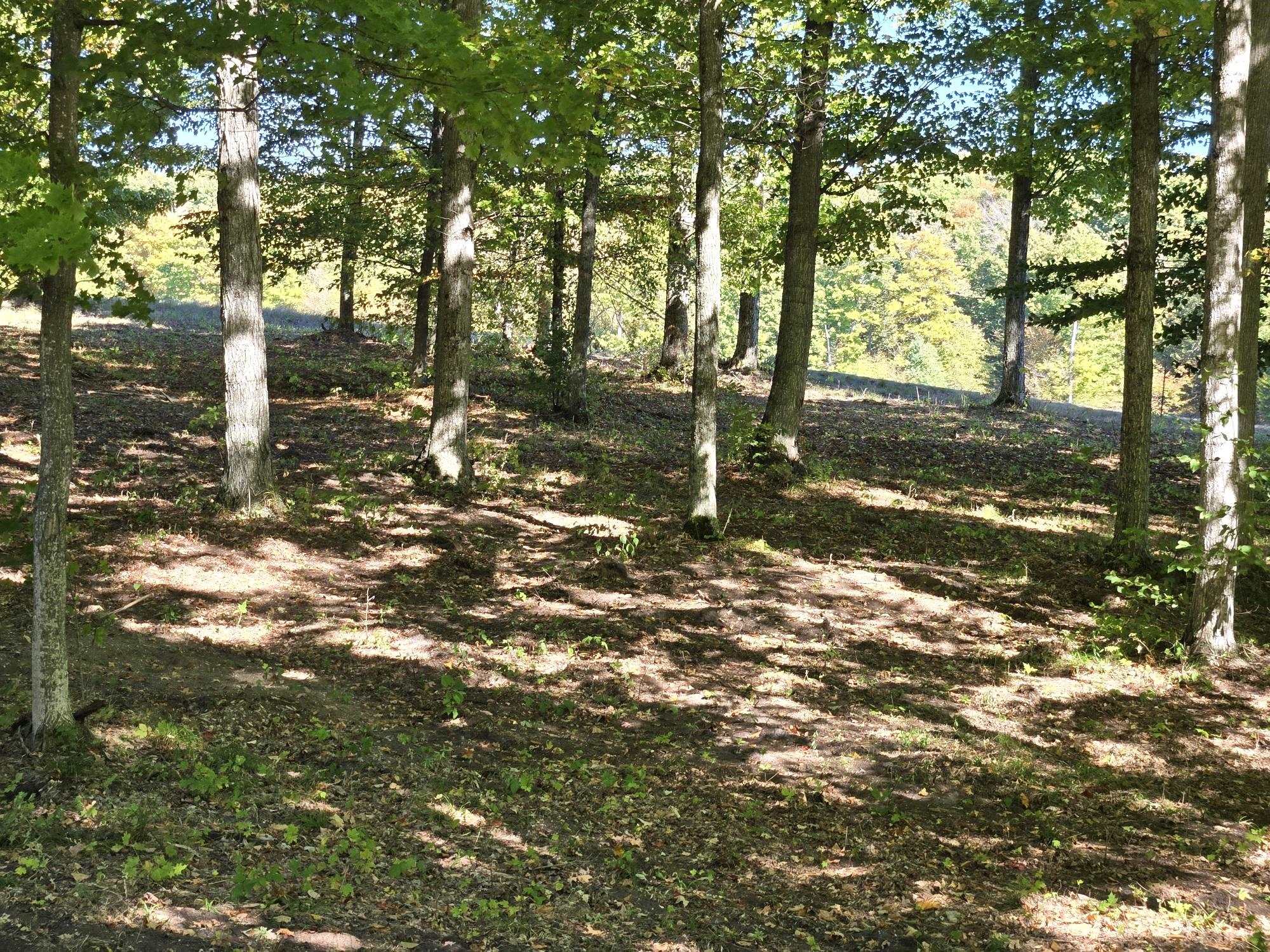 0018 Heather Ridge Trail Homestead Township MI 49617