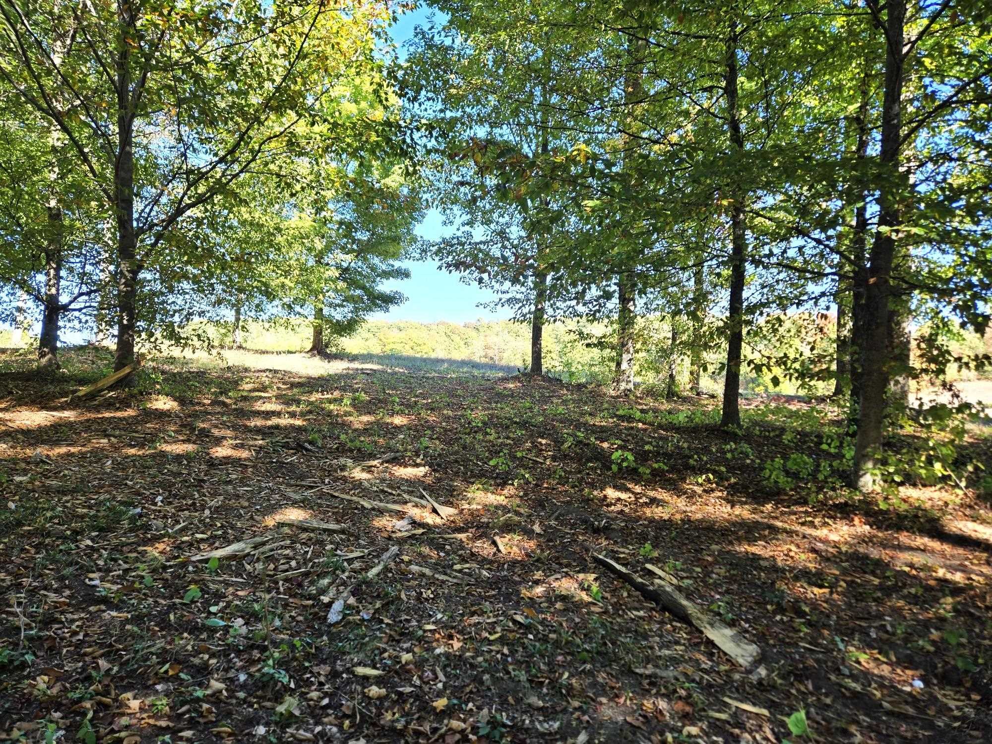 0018 Heather Ridge Trail Homestead Township MI 49617