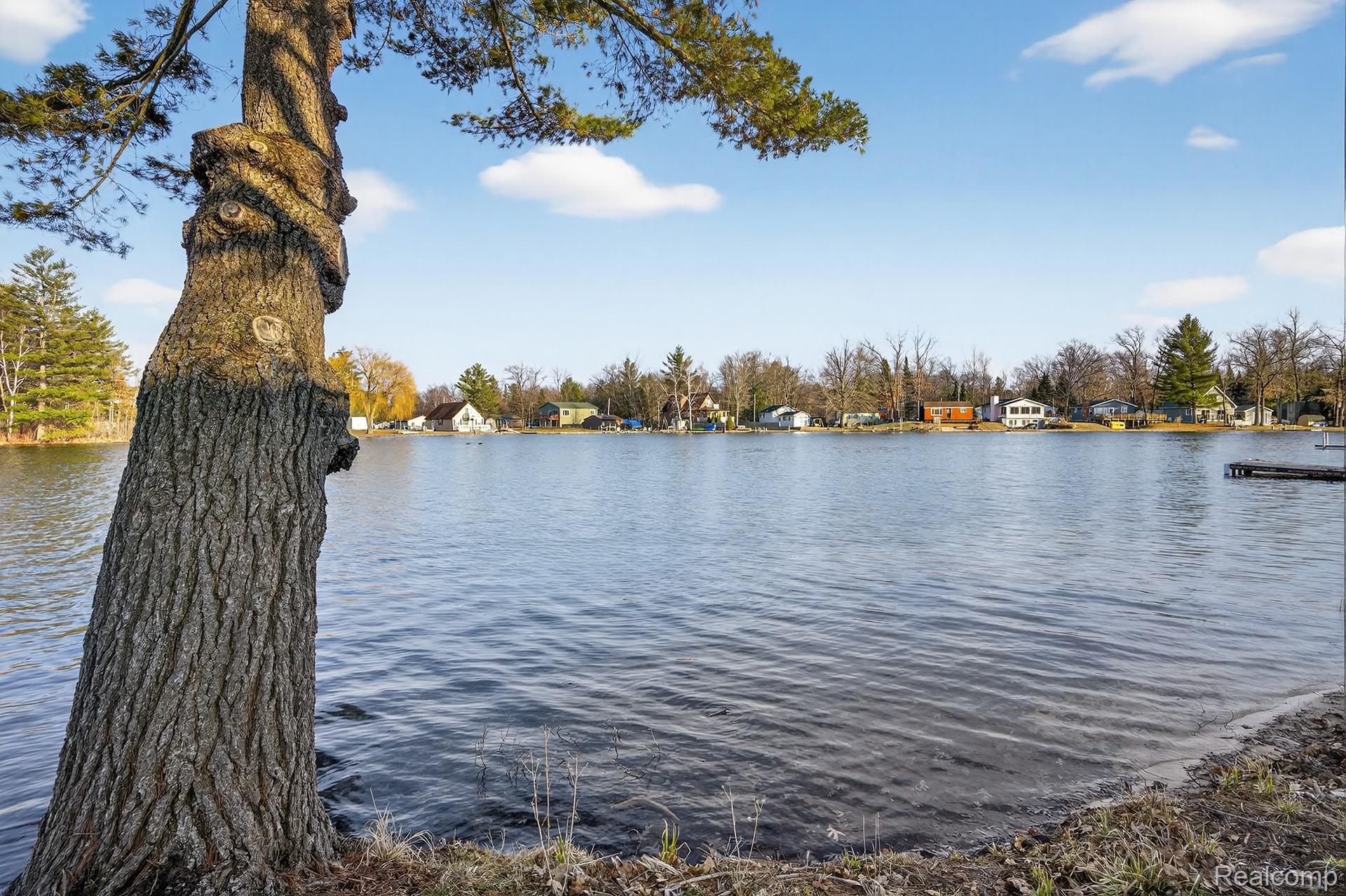 0 Circle Drive Hamilton Township MI 48625