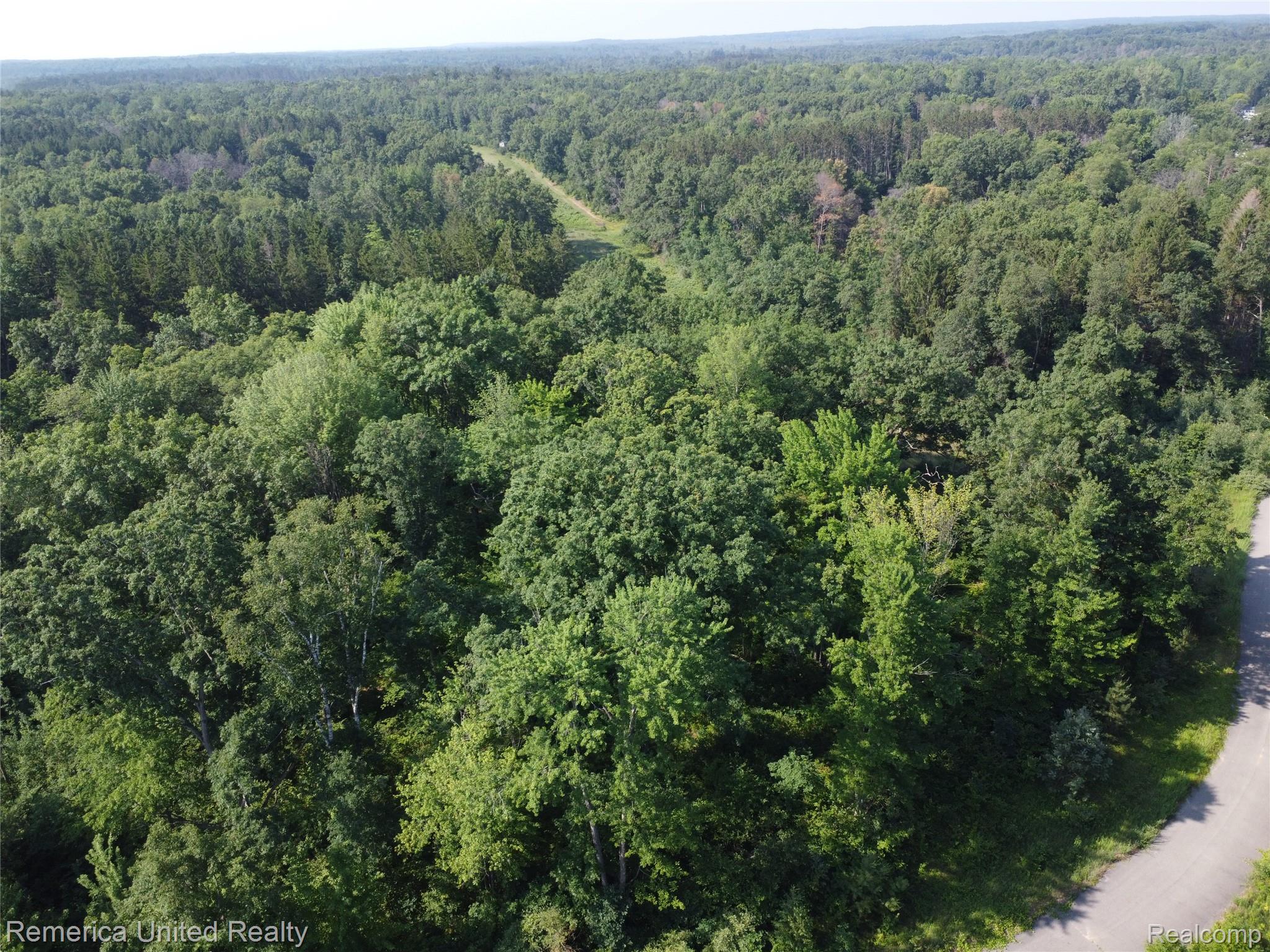 Ville Pondside Drive Lot 9 Surrey Township MI 48622