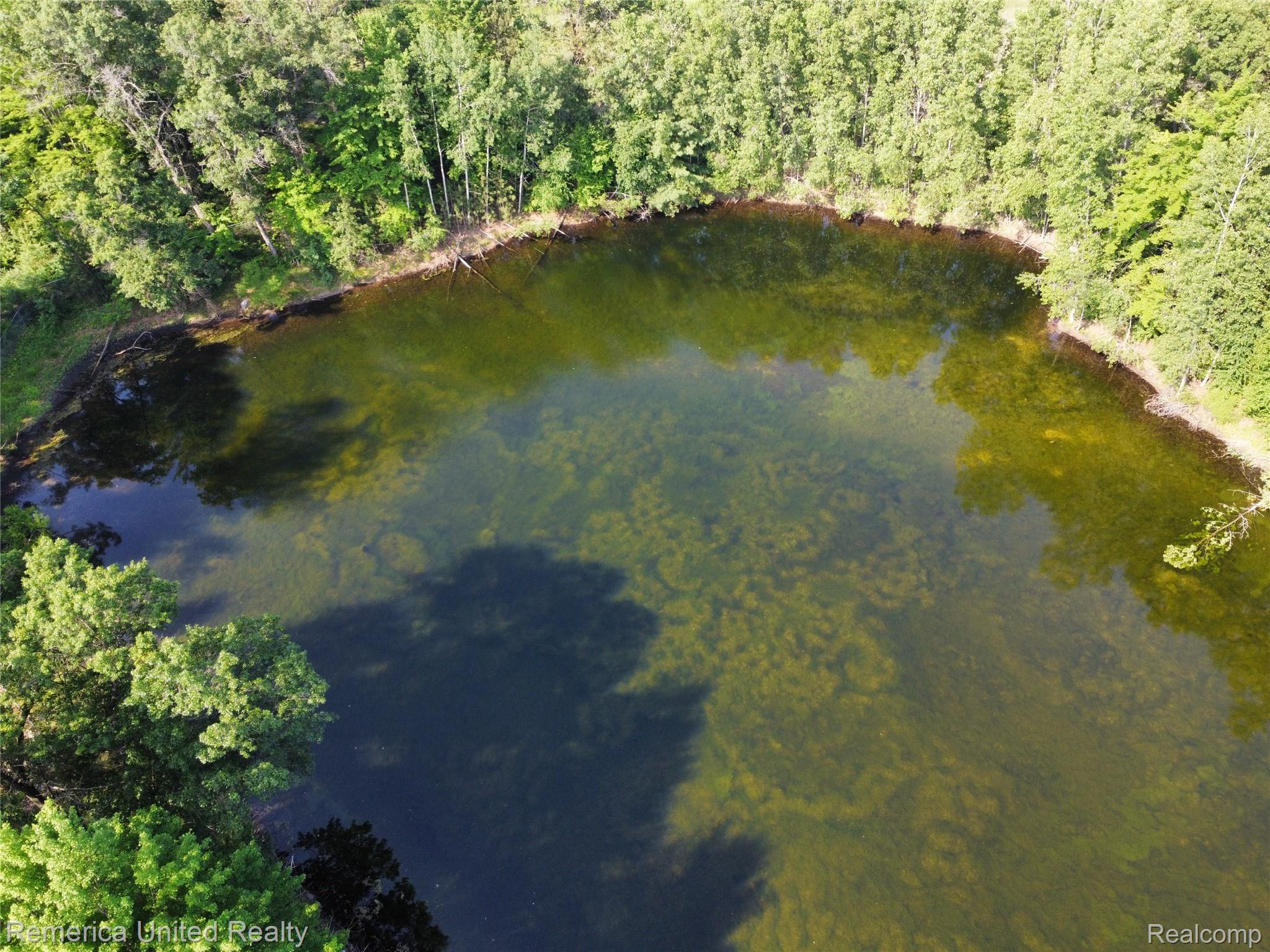 Ville Pondside Drive Lot 9 Surrey Township MI 48622