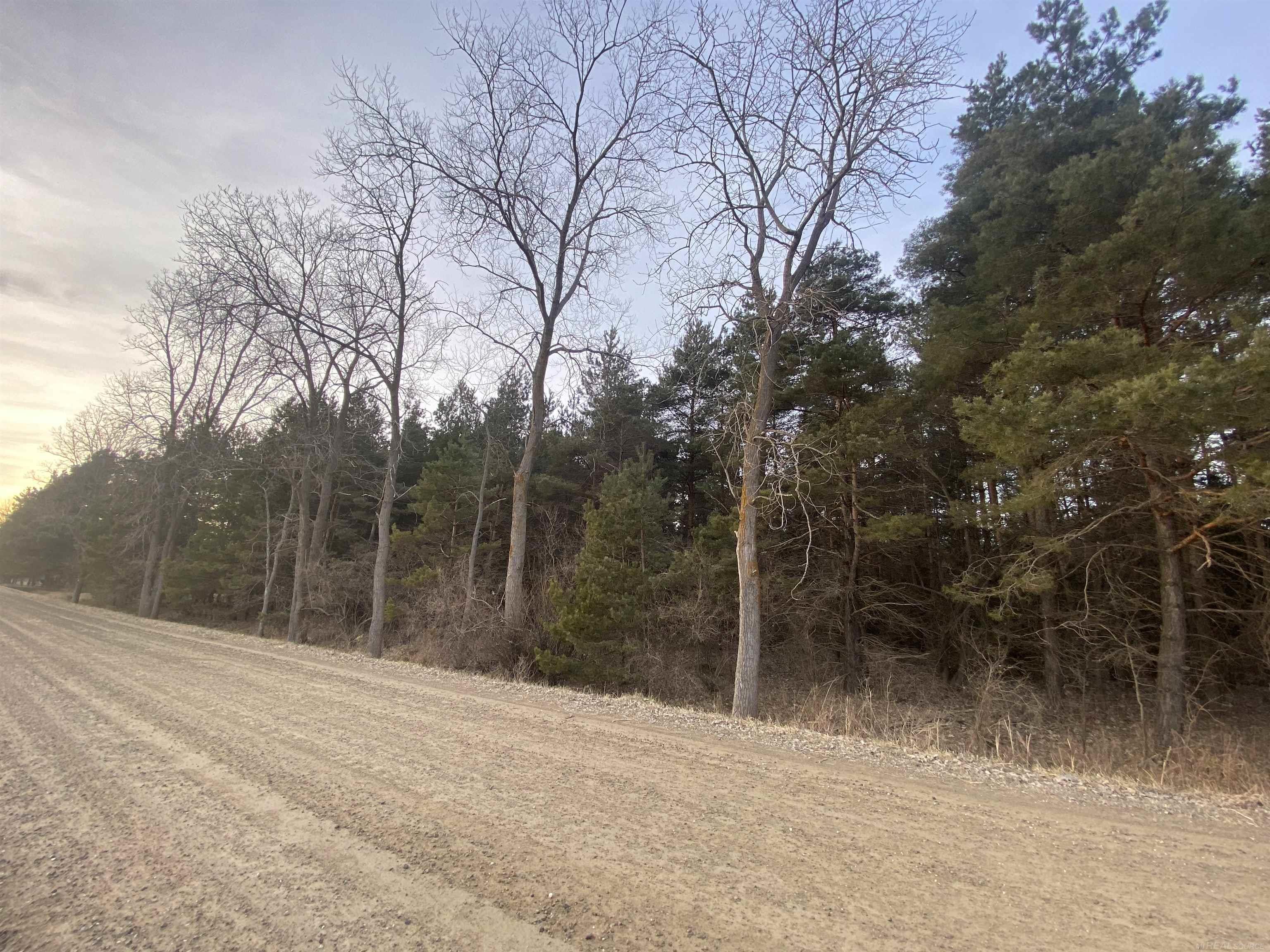 Mann Road Port Sanilac Village MI 48469