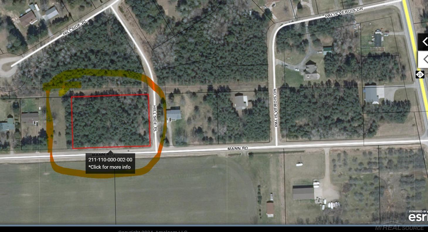 Mann Road Port Sanilac Village MI 48469