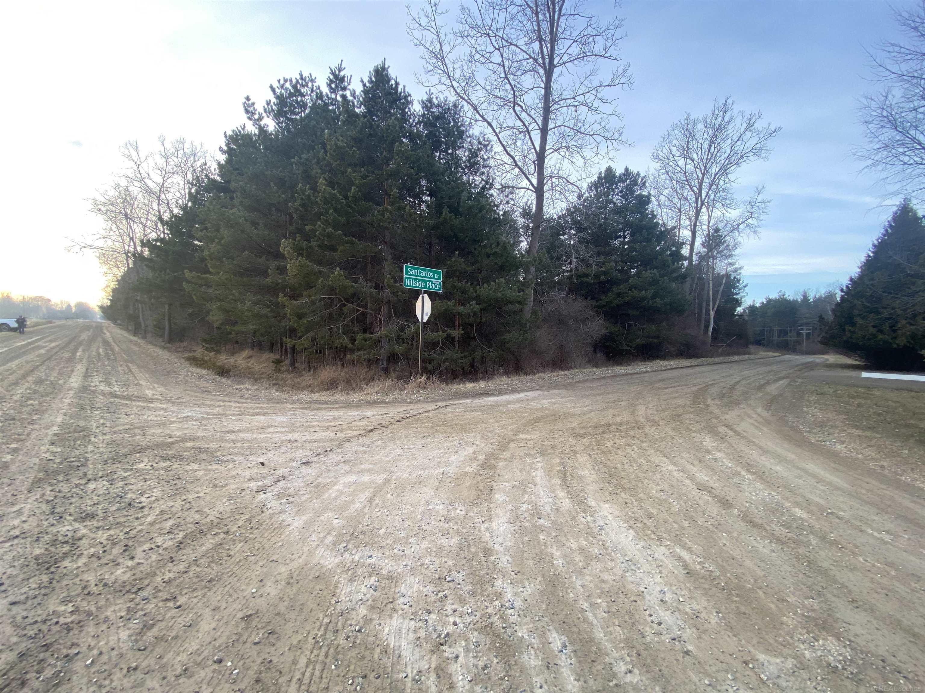 Mann Road Port Sanilac Village MI 48469