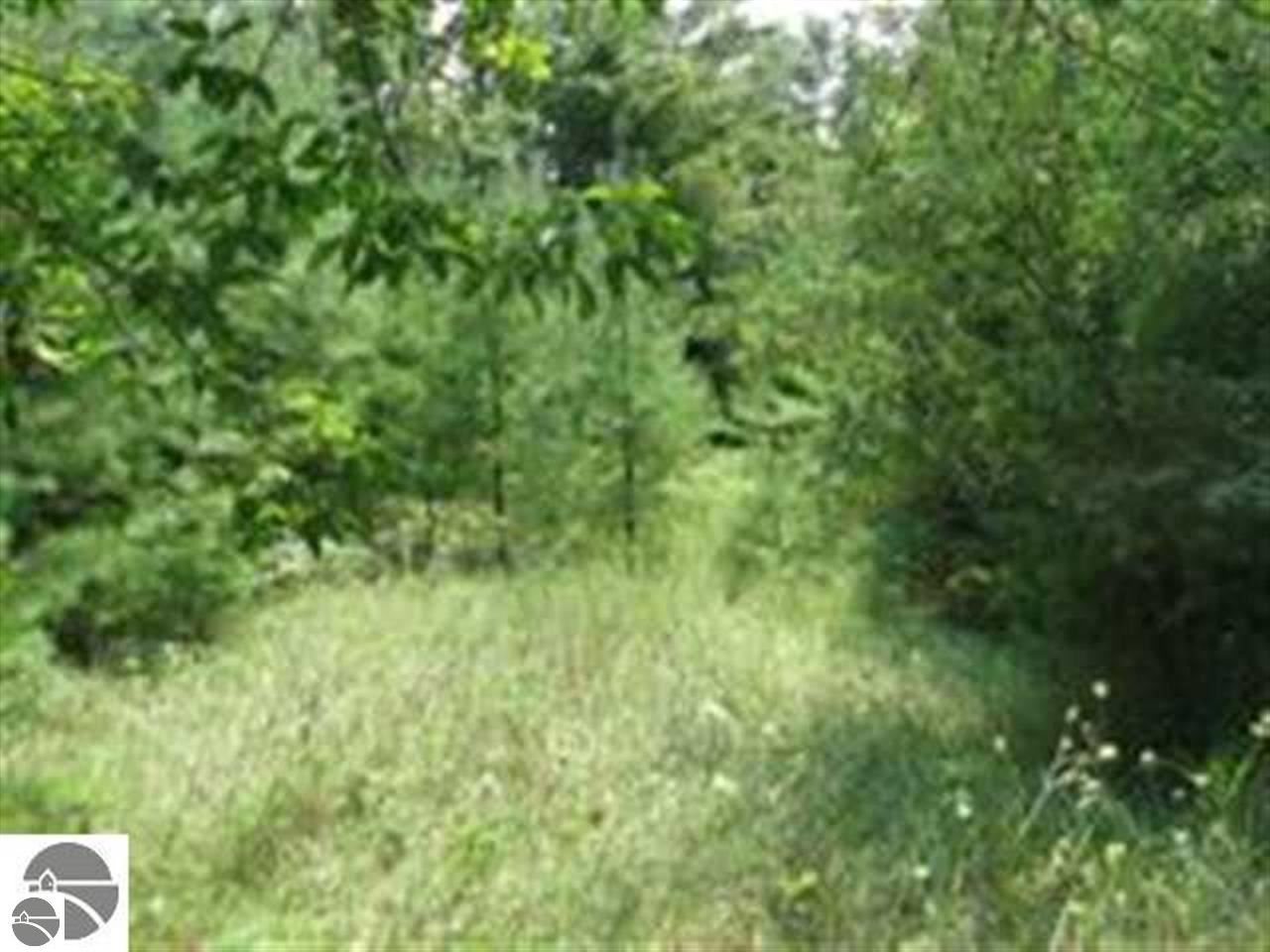 -0- M-55 Tawas Township MI 48763