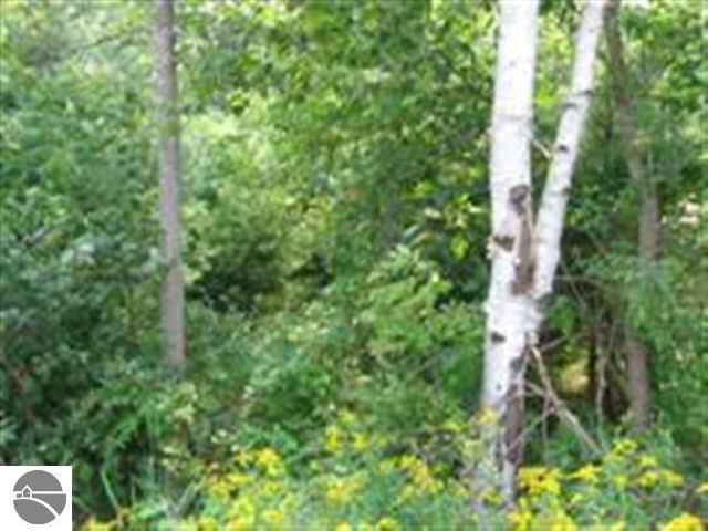 -0- M-55 Tawas Township MI 48763