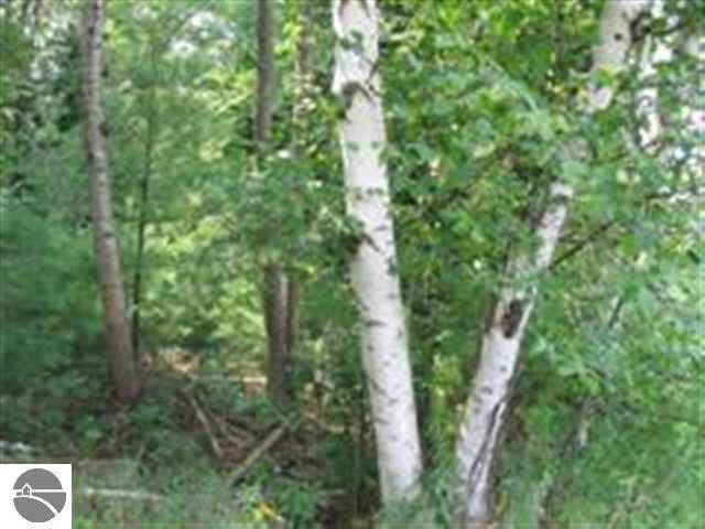 -0- M-55 Tawas Township MI 48763