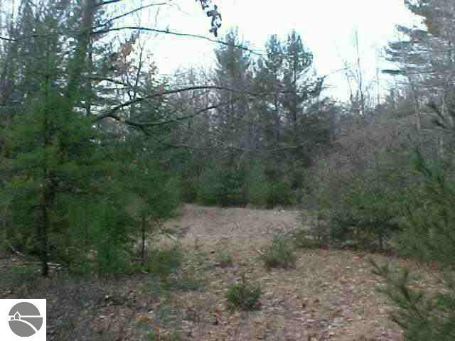 -0- M-55 Tawas Township MI 48763