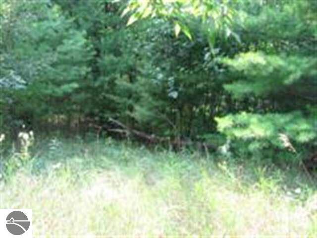 -0- M-55 Tawas Township MI 48763