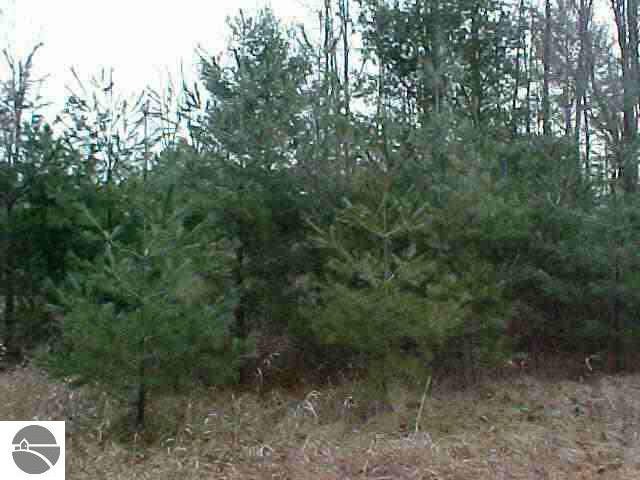 -0- M-55 Tawas Township MI 48763