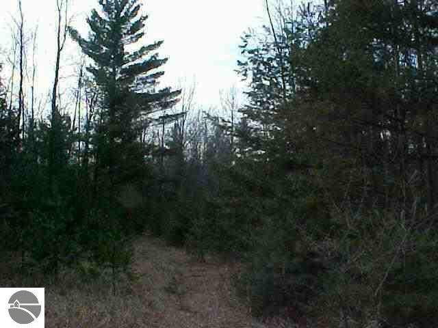 -0- M-55 Tawas Township MI 48763