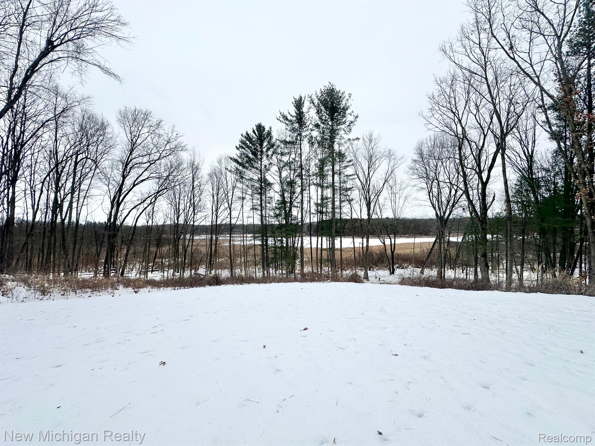 11461 White Lake Road Tyrone Township MI 48430