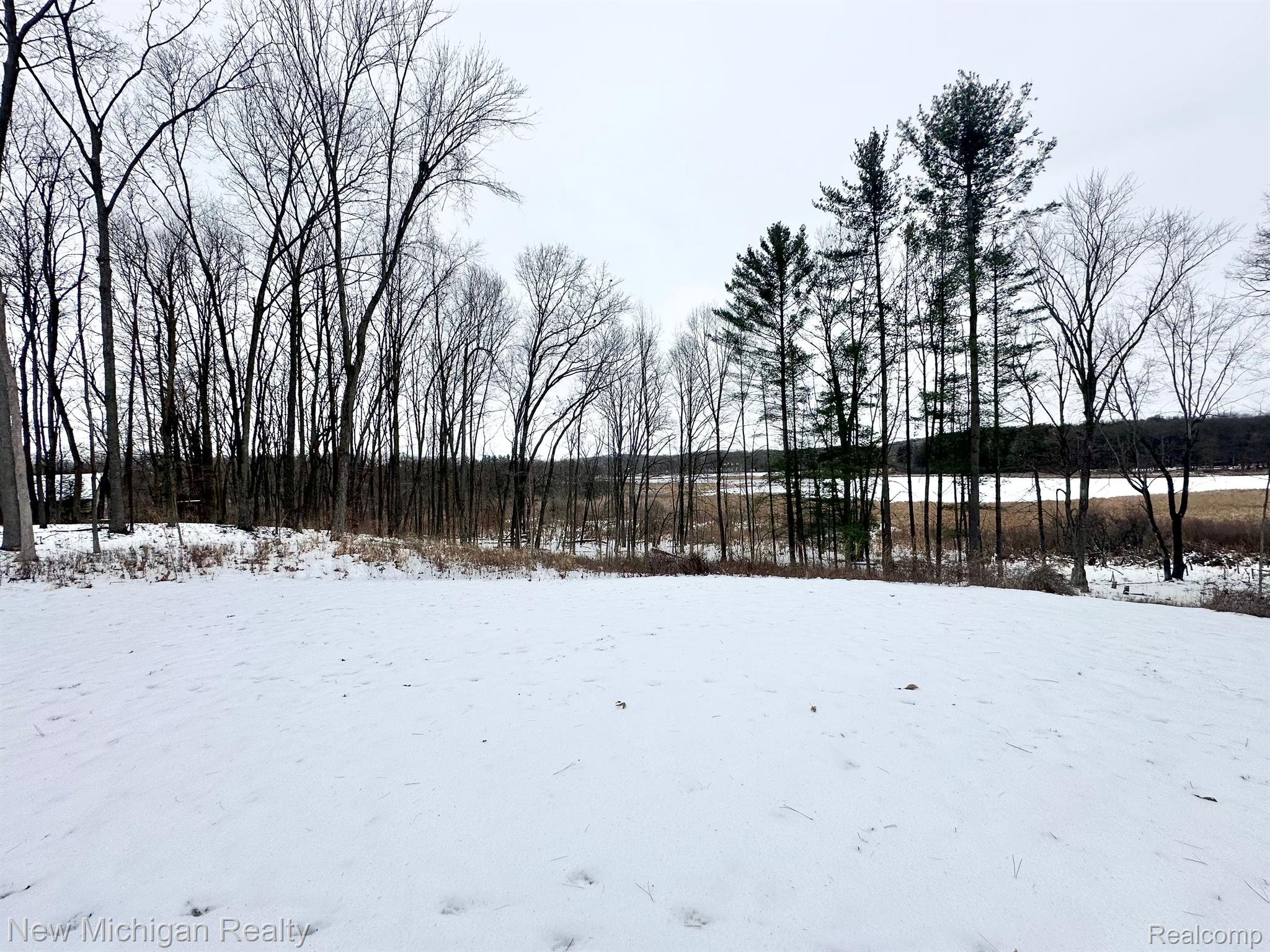 11461 White Lake Road Tyrone Township MI 48430