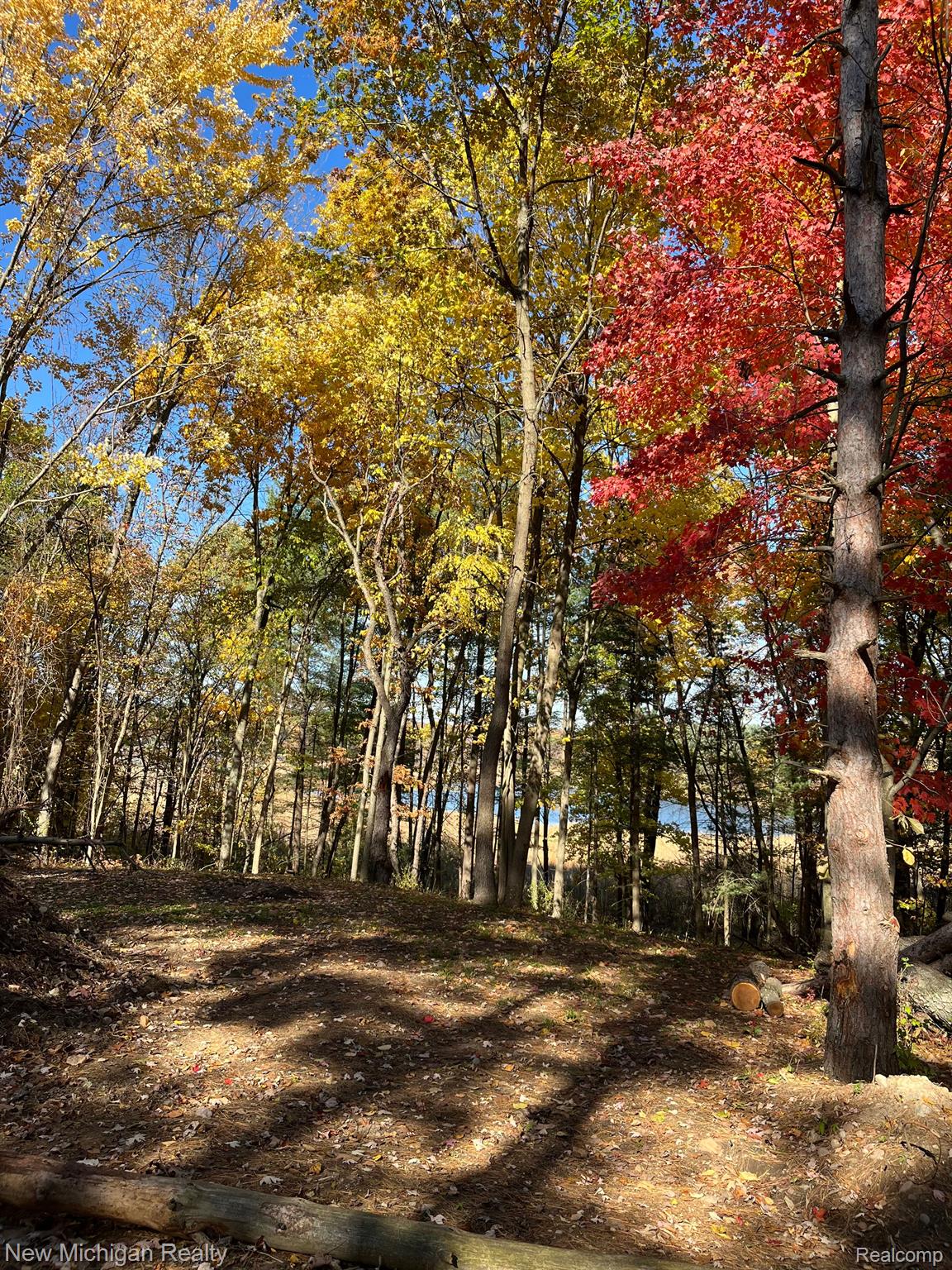 11461 White Lake Road Tyrone Township MI 48430
