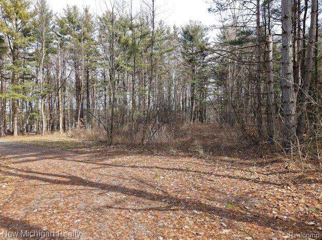 11461 White Lake Road Tyrone Township MI 48430