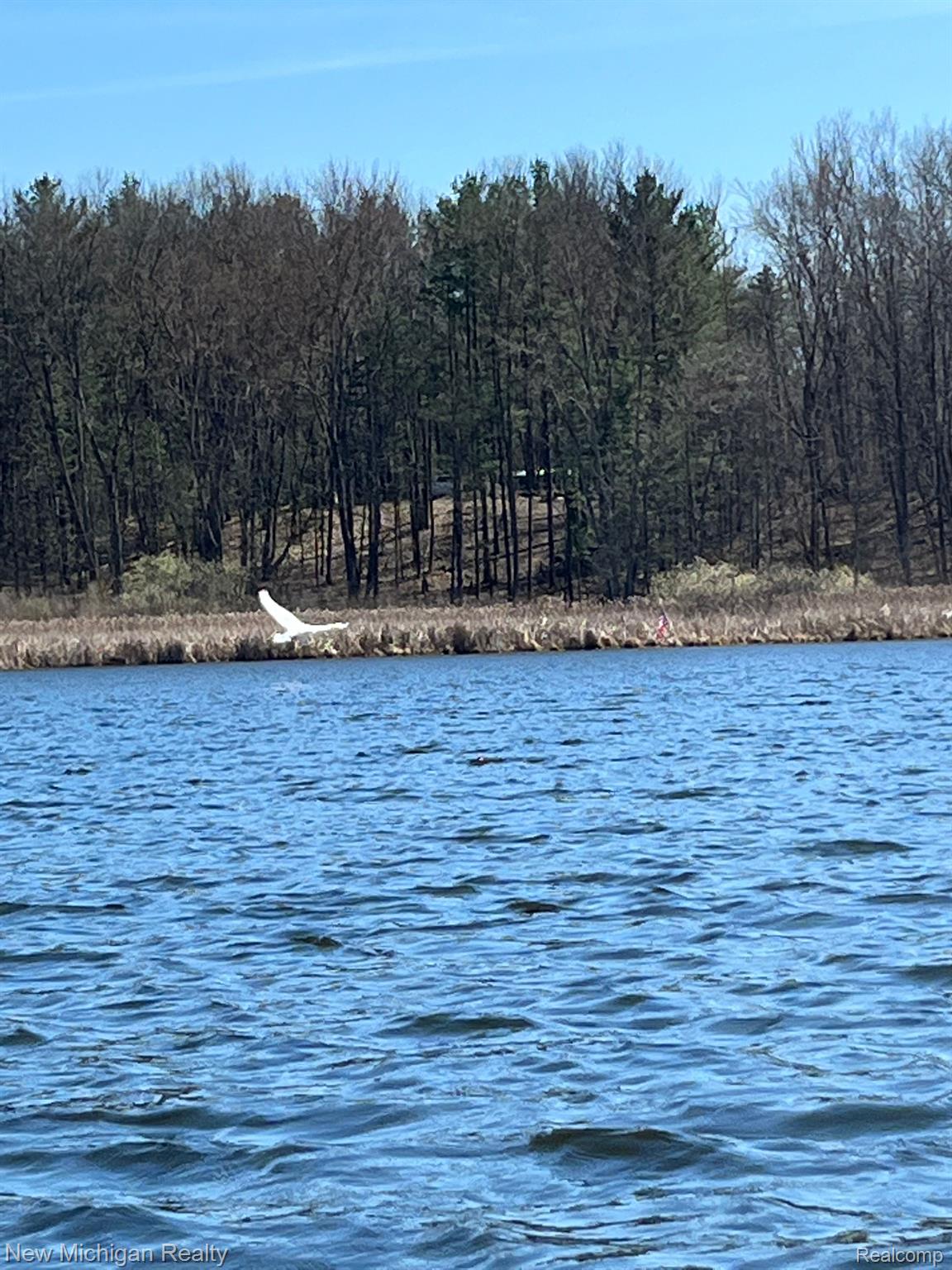 11461 White Lake Road Tyrone Township MI 48430