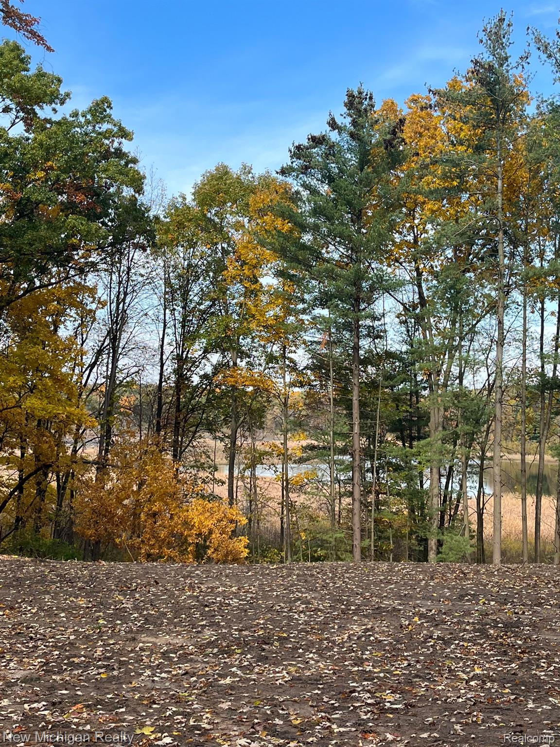 11461 White Lake Road Tyrone Township MI 48430