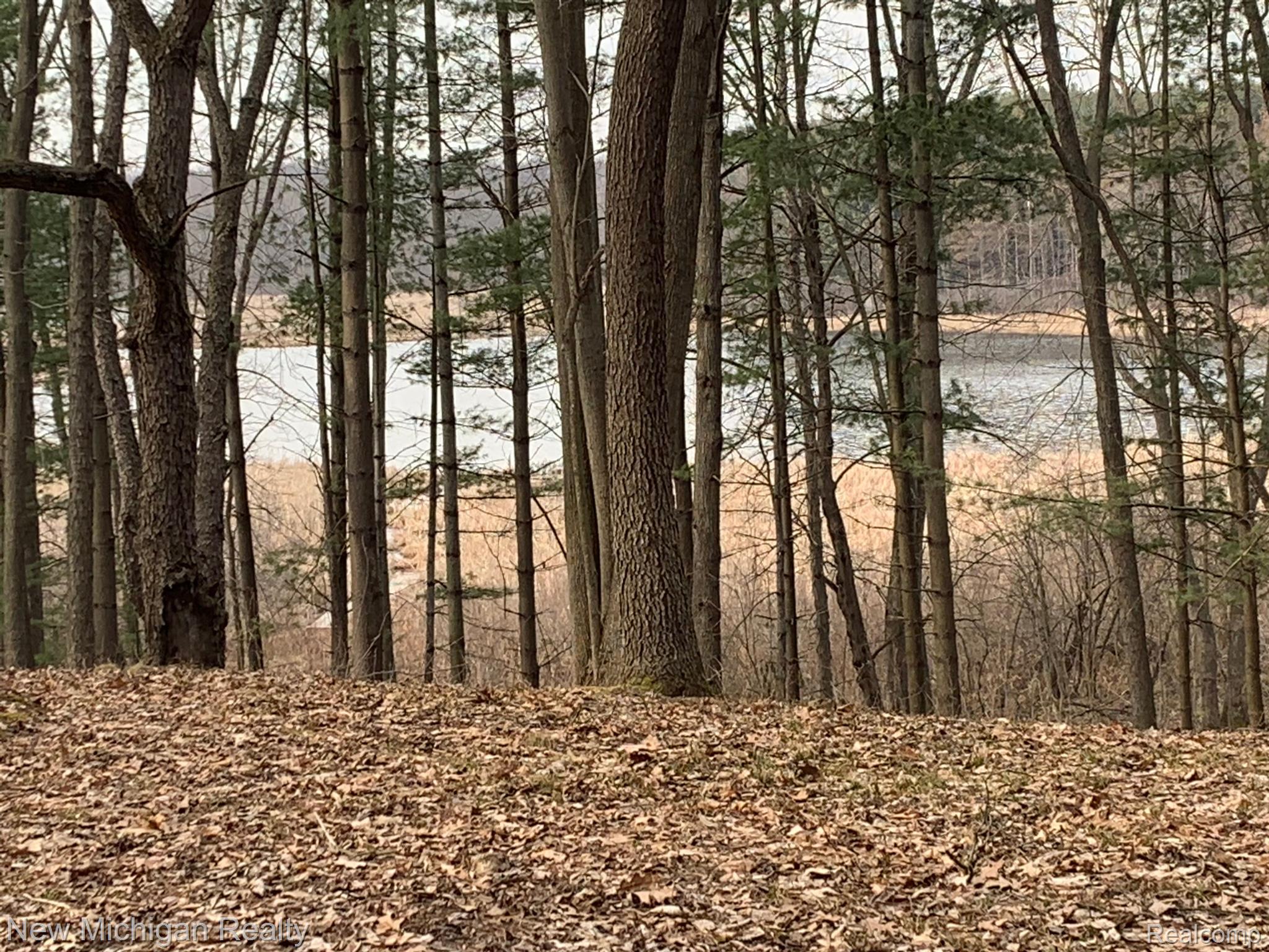11461 White Lake Road Tyrone Township MI 48430
