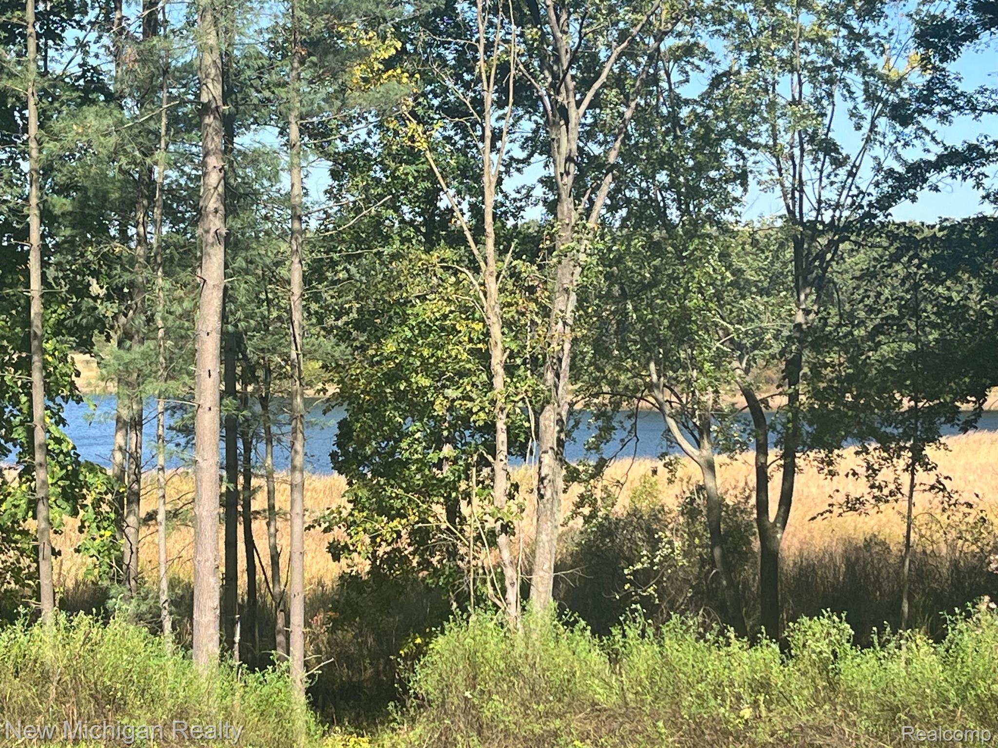 11461 White Lake Road Tyrone Township MI 48430