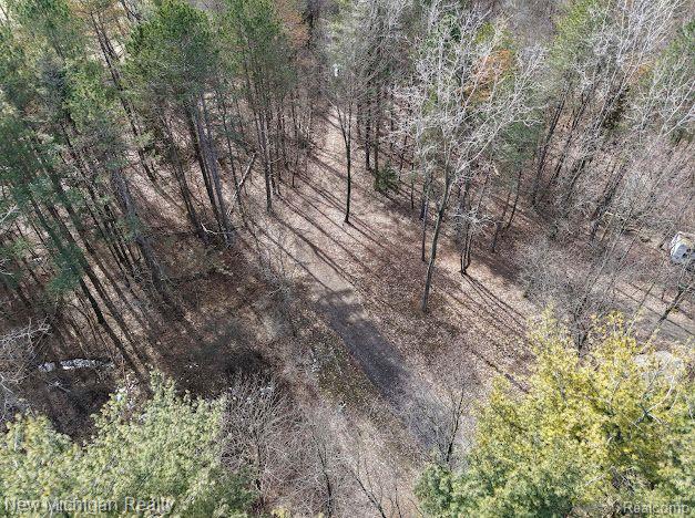 11461 White Lake Road Tyrone Township MI 48430