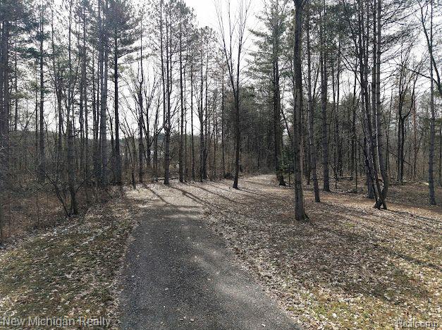 11461 White Lake Road Tyrone Township MI 48430
