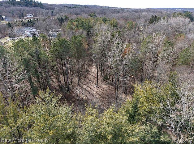 11461 White Lake Road Tyrone Township MI 48430