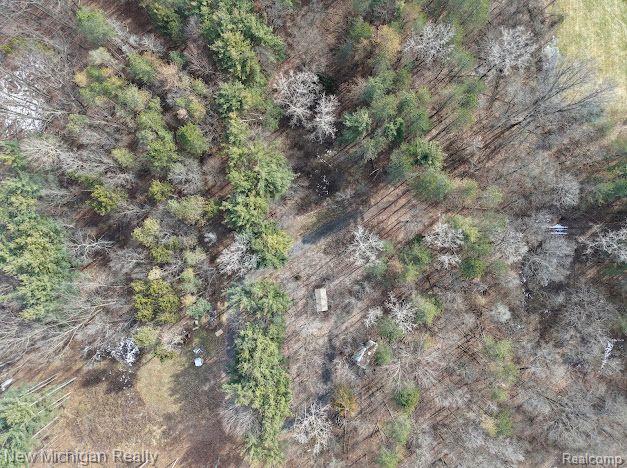 11461 White Lake Road Tyrone Township MI 48430