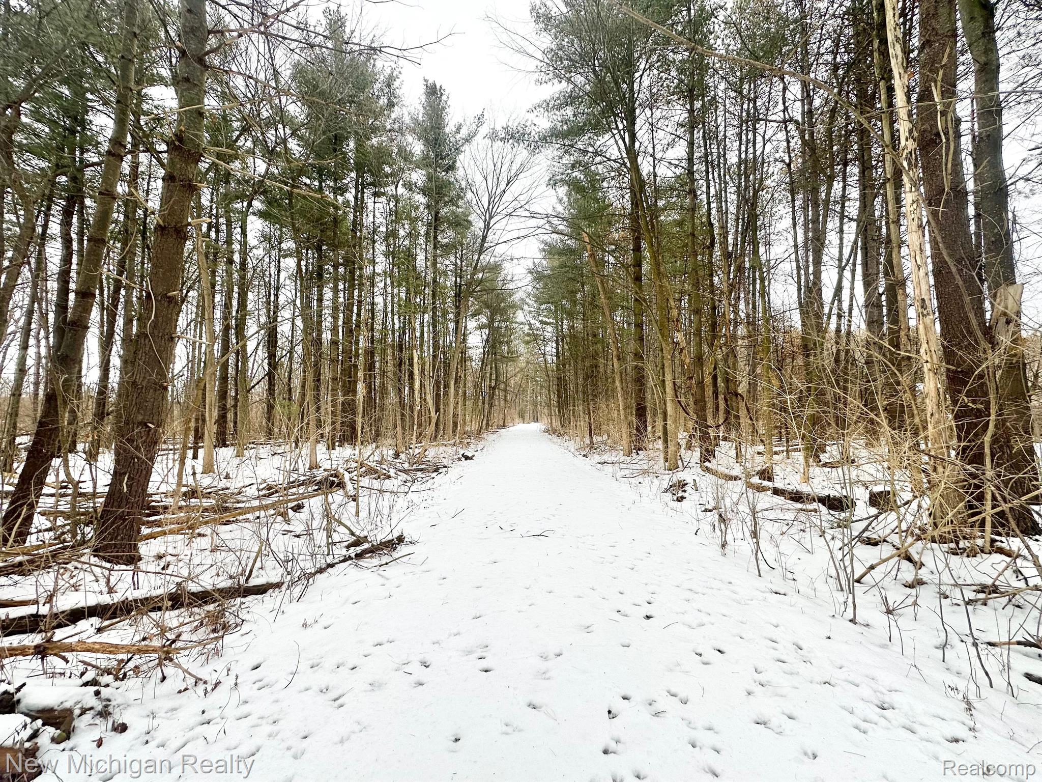 11461 White Lake Road Tyrone Township MI 48430
