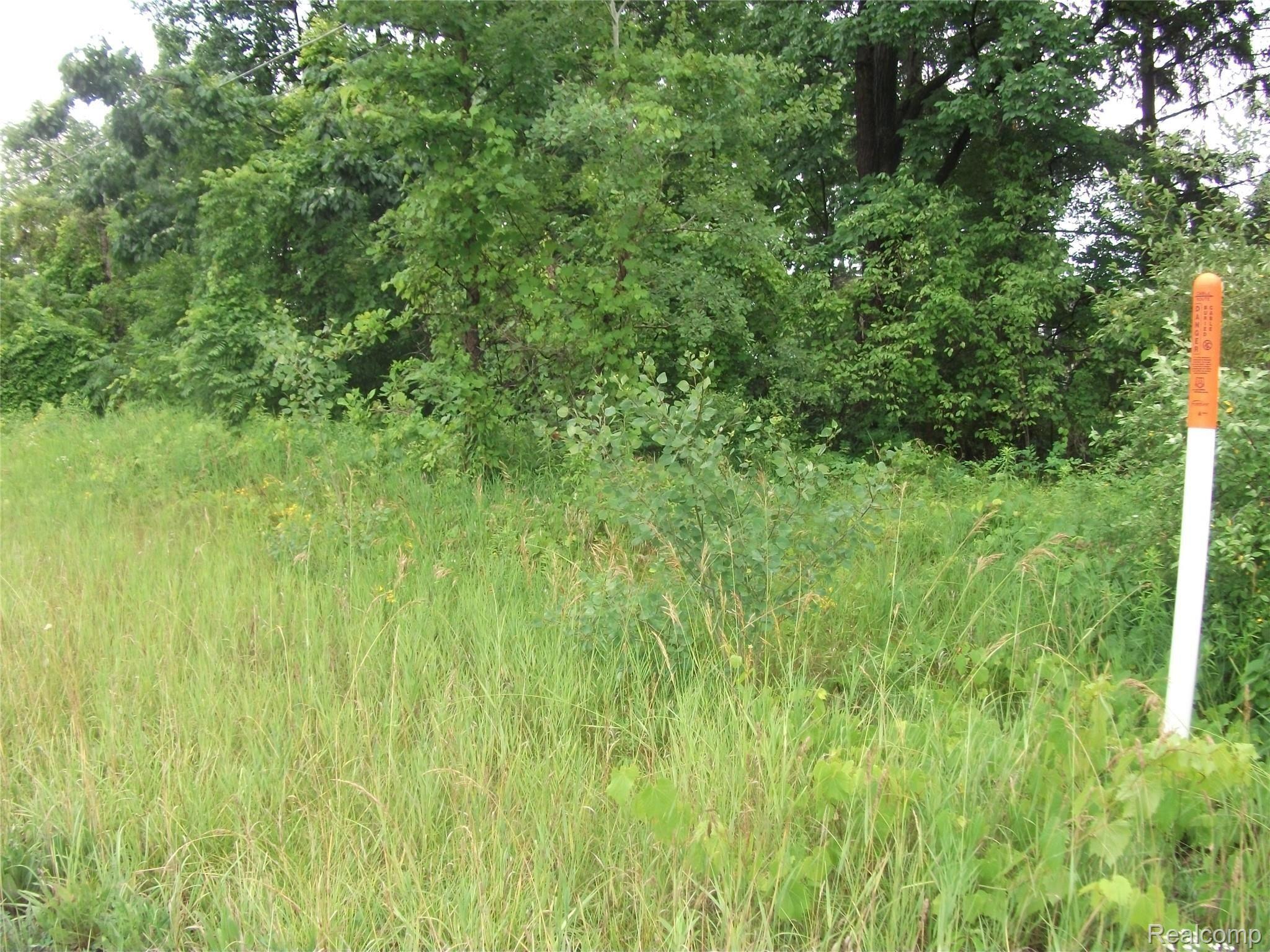0000 Seymour Lake Drive Brandon Charter Township MI 48462