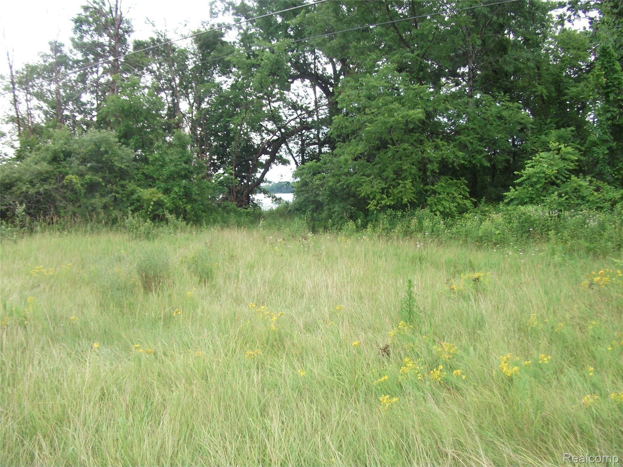 0000 Seymour Lake Drive Brandon Charter Township MI 48462