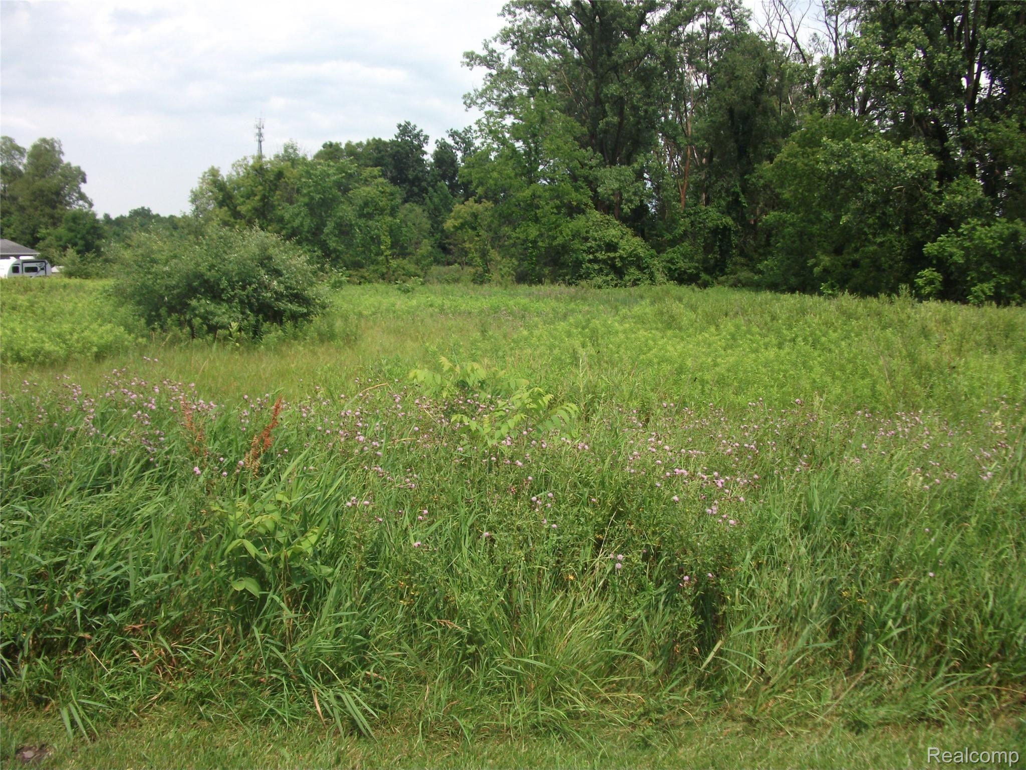 0000 Seymour Lake Drive Brandon Charter Township MI 48462