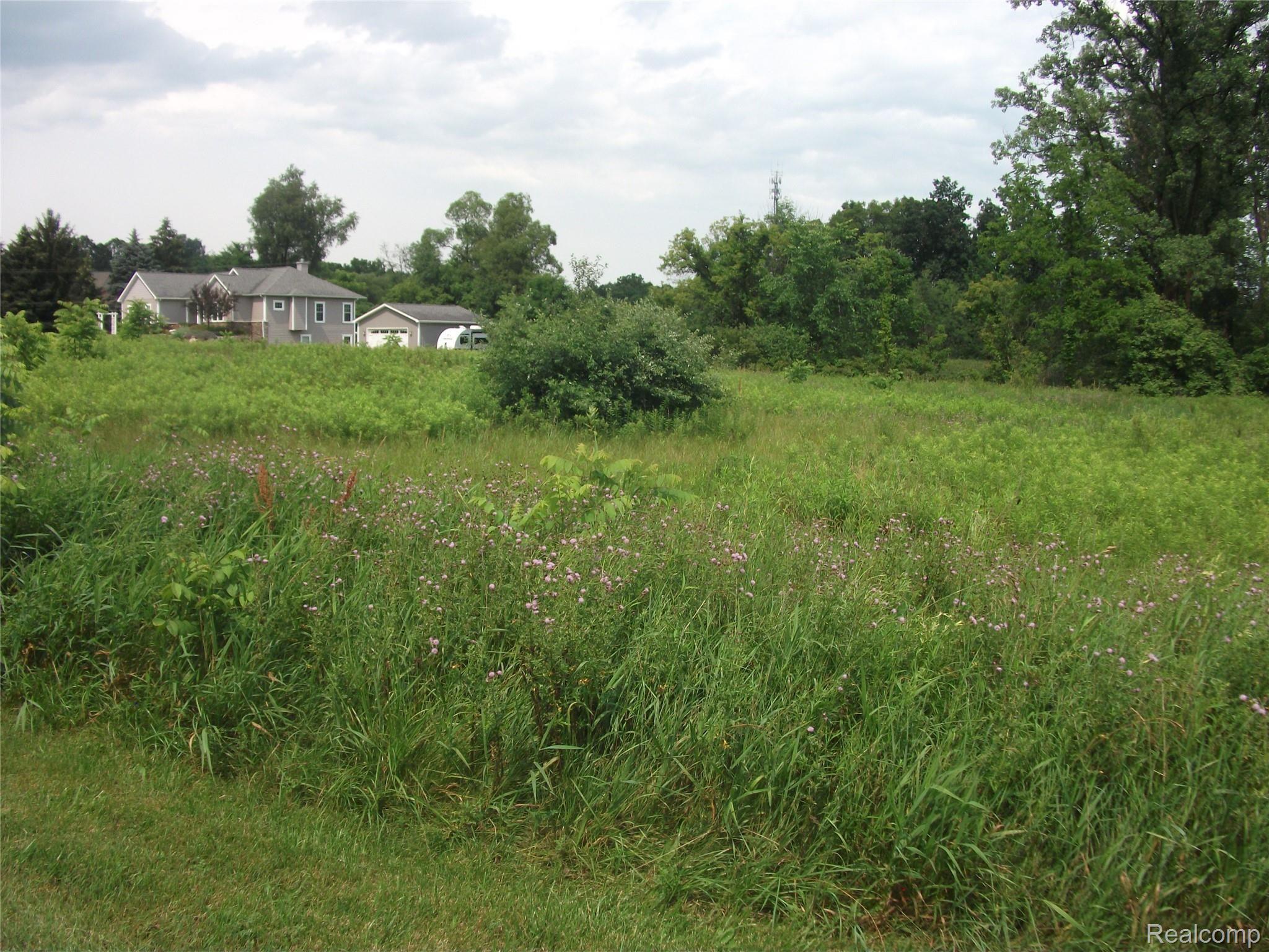 0000 Seymour Lake Drive Brandon Charter Township MI 48462