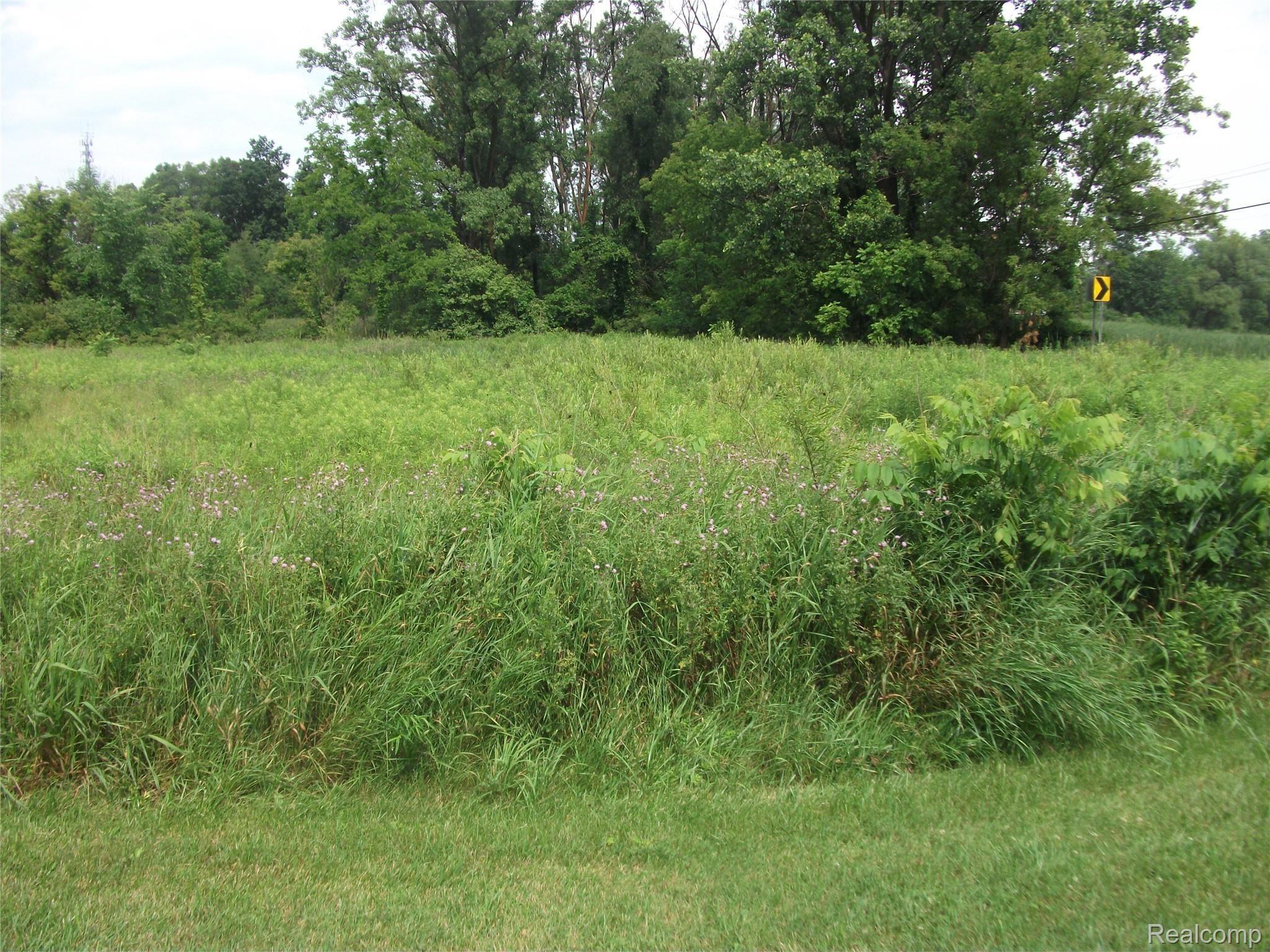 0000 Seymour Lake Drive Brandon Charter Township MI 48462