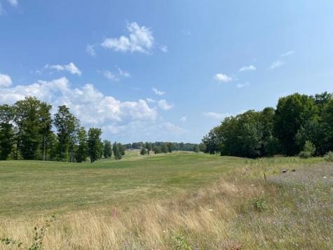 #7 Mooney Way Torch Lake Township MI 49648