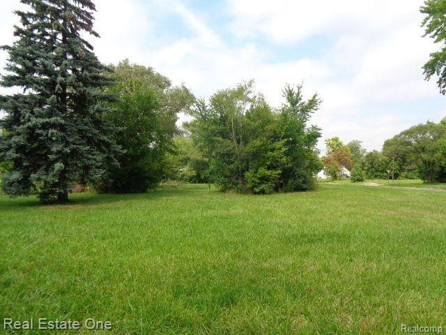 2881 17th Street Detroit City MI 48216
