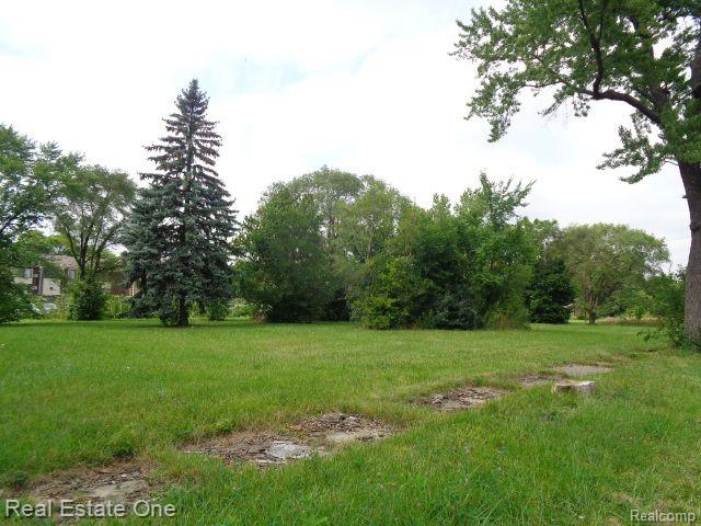 2881 17th Street Detroit City MI 48216