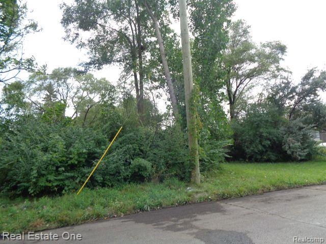 2881 17th Street Detroit City MI 48216