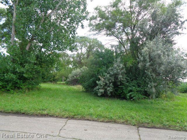 2881 17th Street Detroit City MI 48216