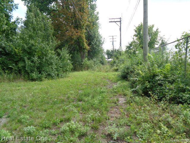 2881 17th Street Detroit City MI 48216