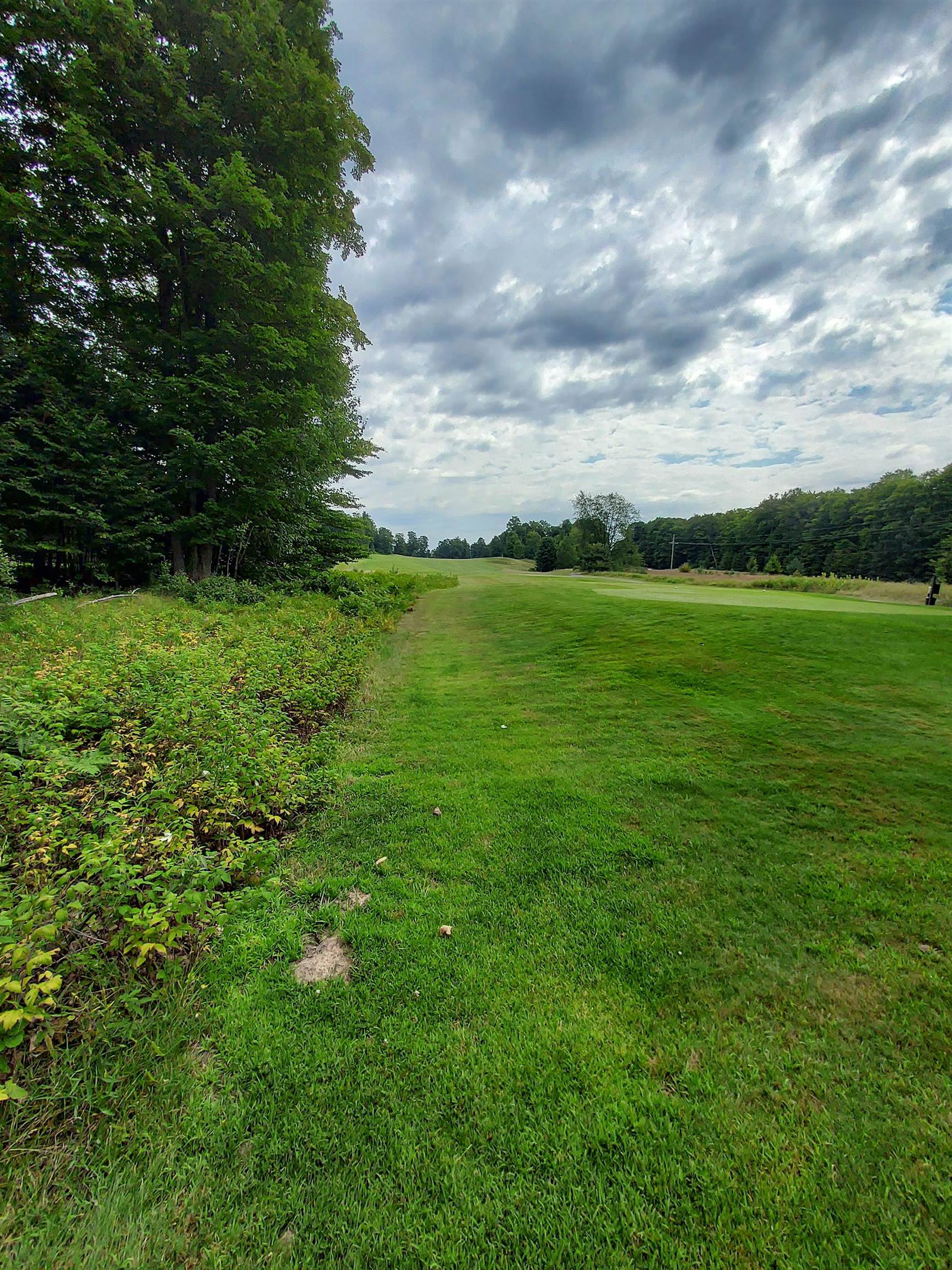 197 Hawks Eye Drive Kearney Township MI 49615