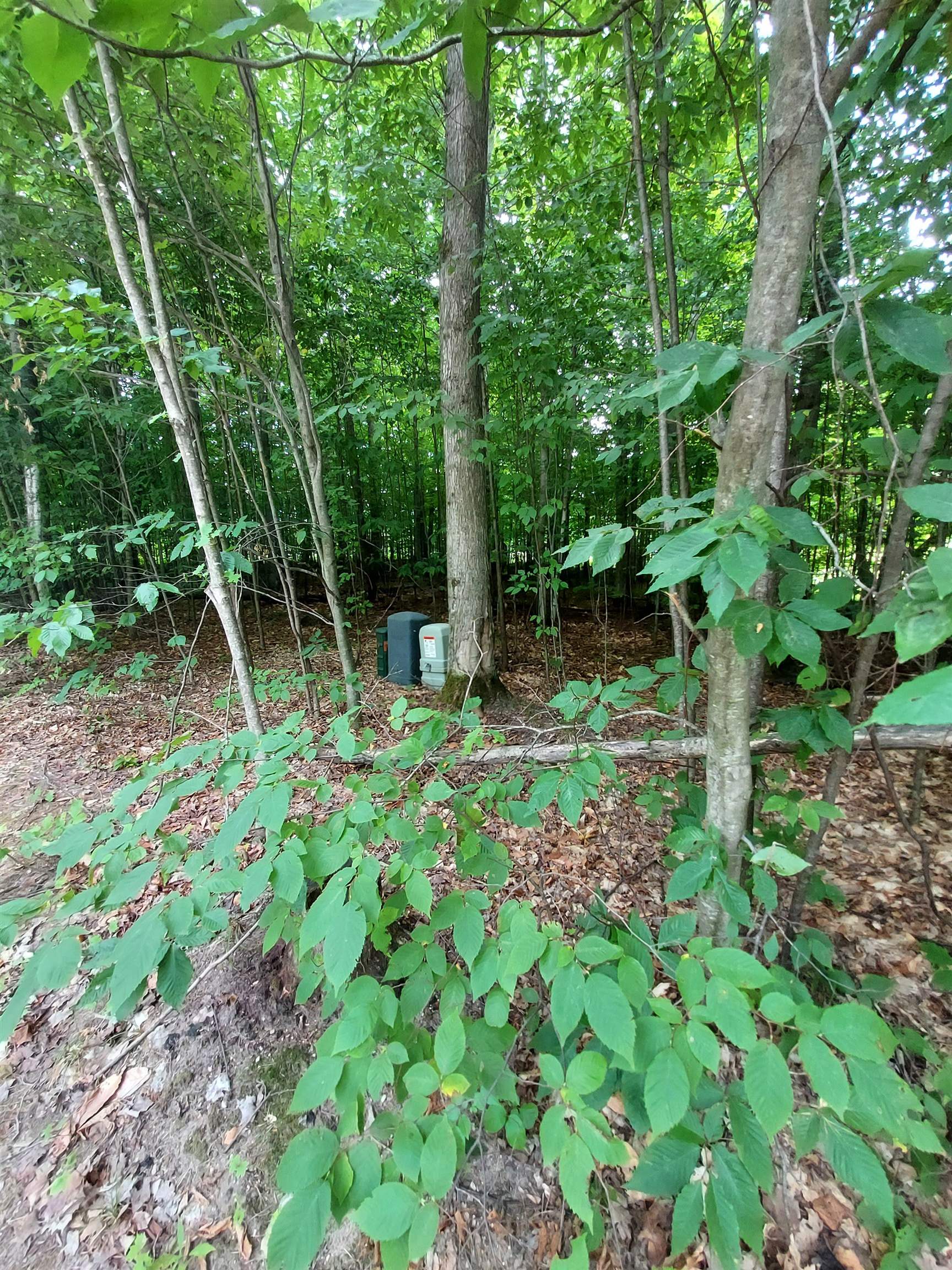 197 Hawks Eye Drive Kearney Township MI 49615