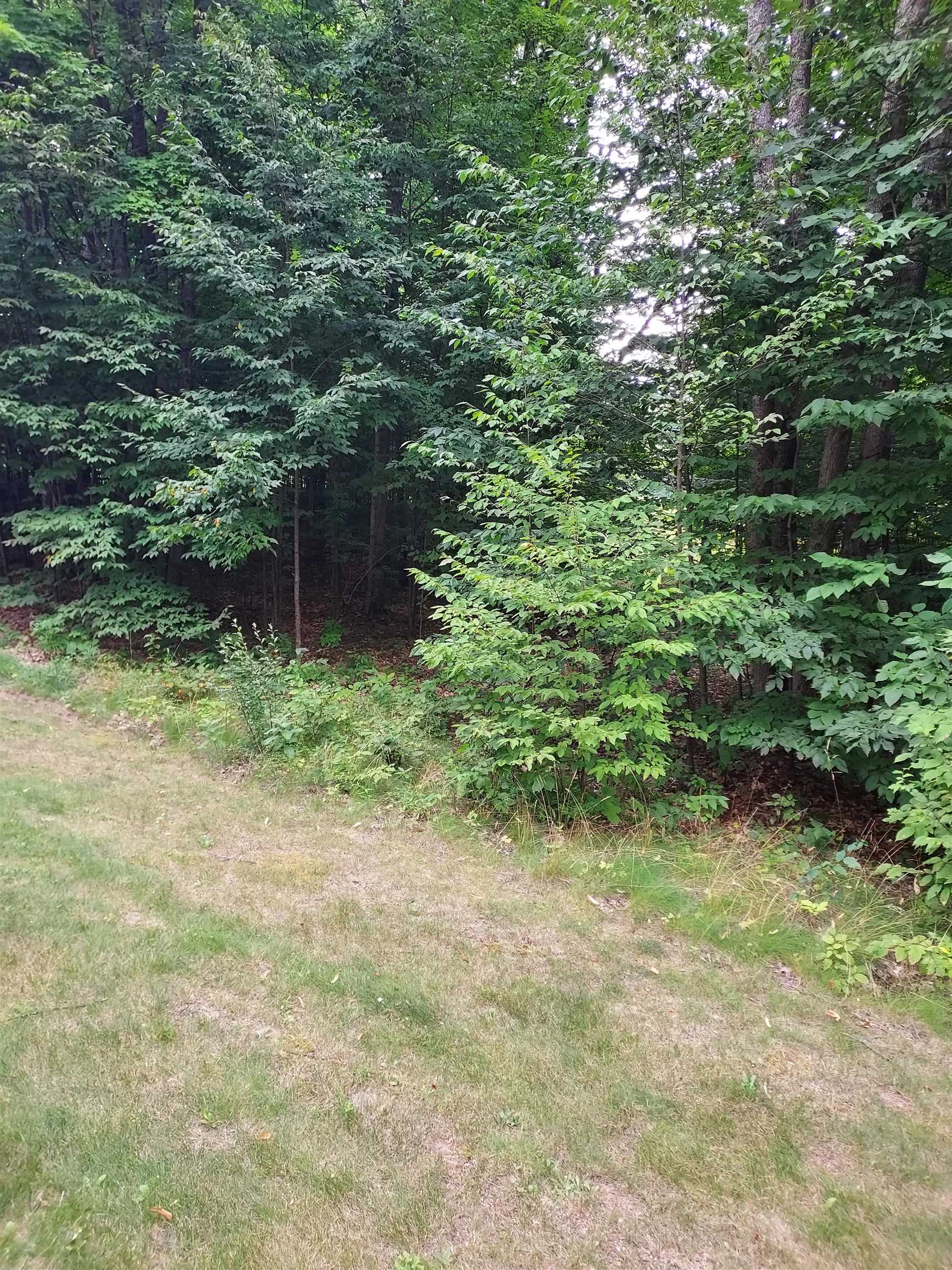 197 Hawks Eye Drive Kearney Township MI 49615