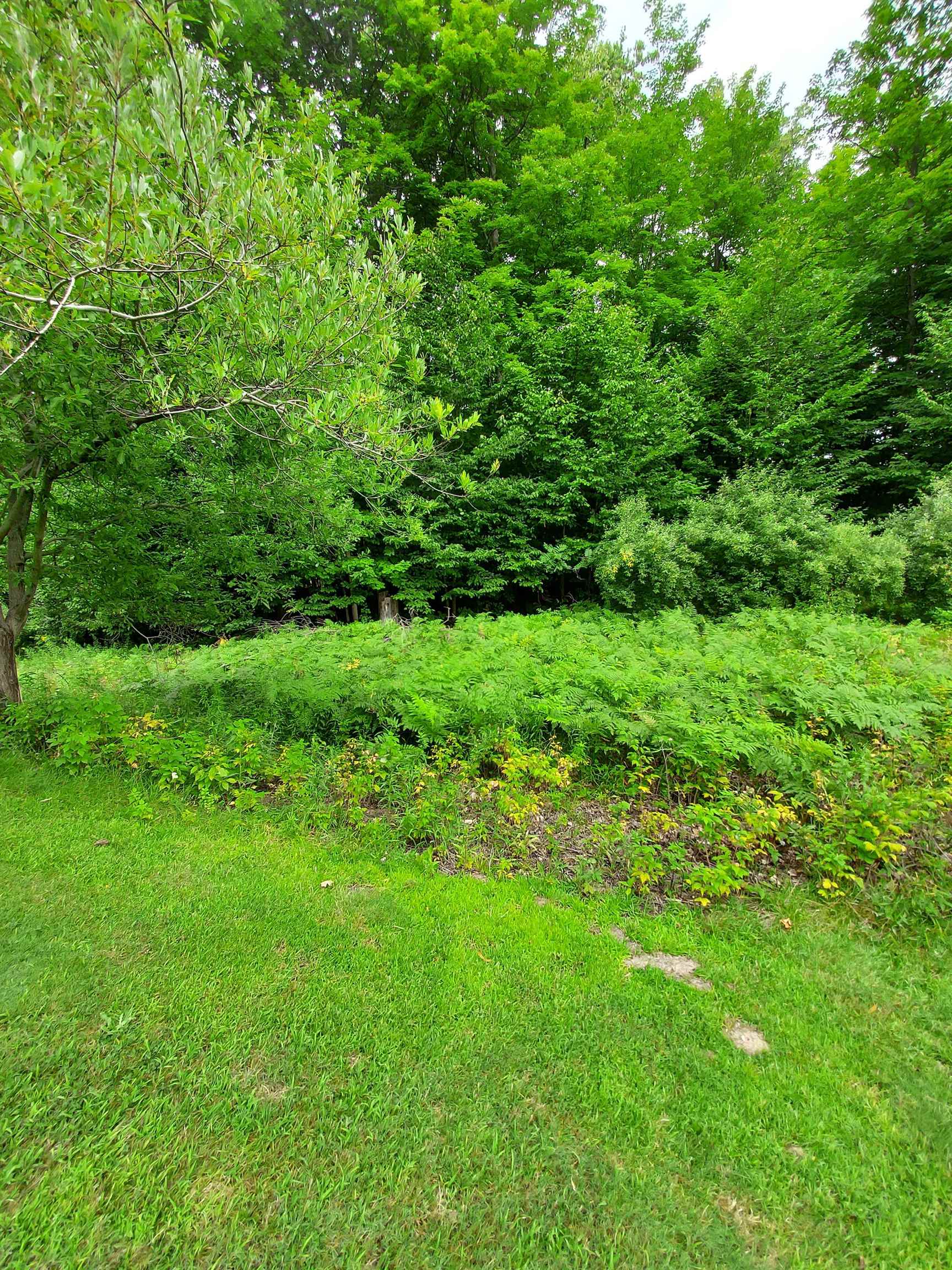 197 Hawks Eye Drive Kearney Township MI 49615