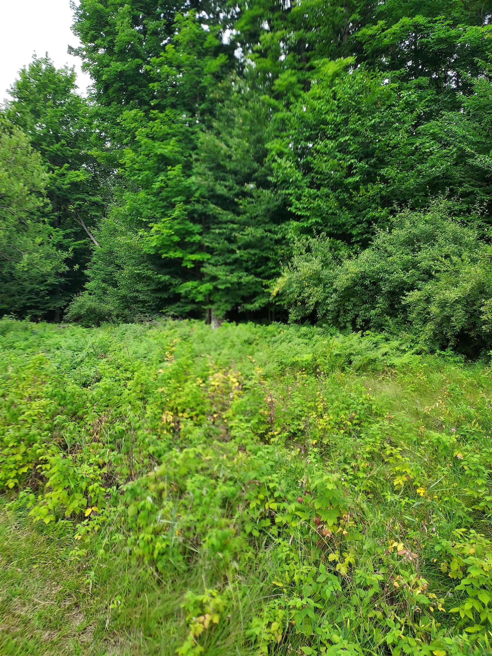 197 Hawks Eye Drive Kearney Township MI 49615