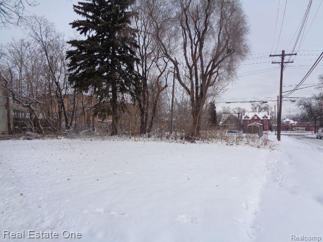 3104 Helen Street Detroit City MI 48207