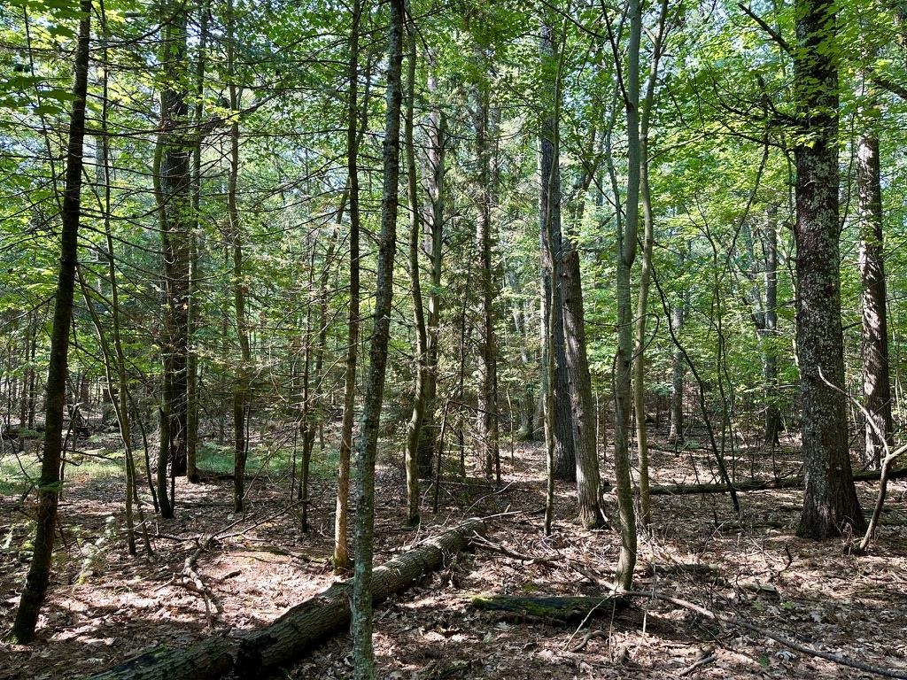 Lot 23 Pine Cone Drive St. James Township MI 49782